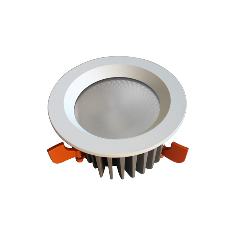 Frosted Glass Cover IP54 Downlight