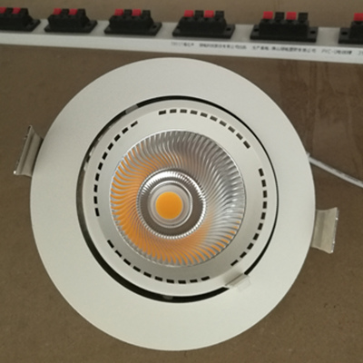 led trunk downlight 30w