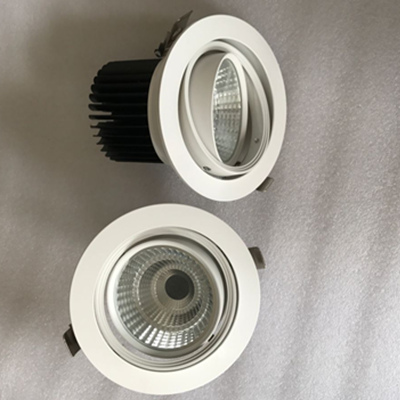 2 Rings Adjustable Downlight