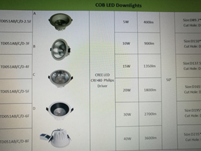 cob led downlights price list