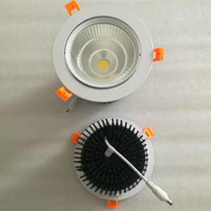 adjustable led down light