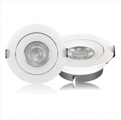 downlight adjustable recessed