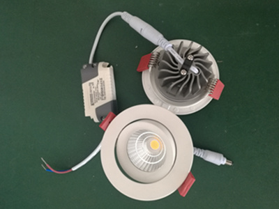 Adjustable LED Hotel Spot Downlight 6W 12W